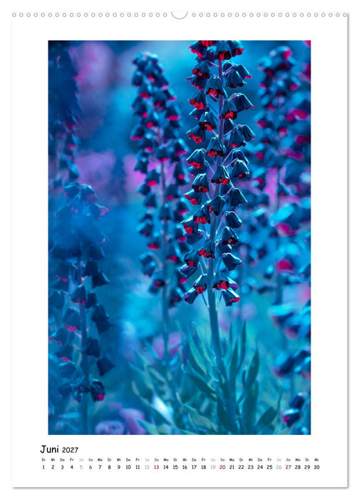 Blauer Blütenzauber (CALVENDO Premium Wandkalender 2027)