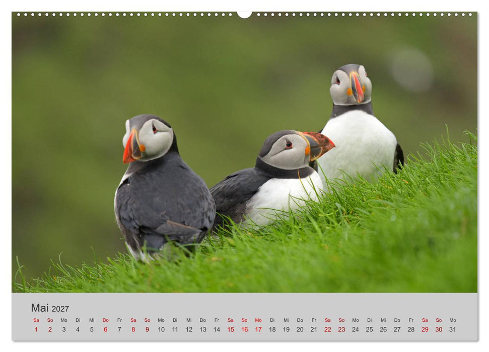 Färöer Inseln 2027 (CALVENDO Wandkalender 2027)