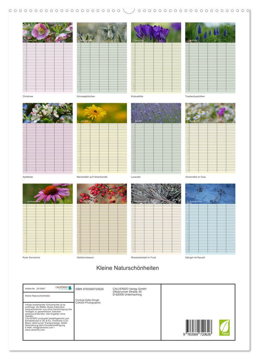 Kleine Naturschönheiten (CALVENDO Premium Wandkalender 2027)
