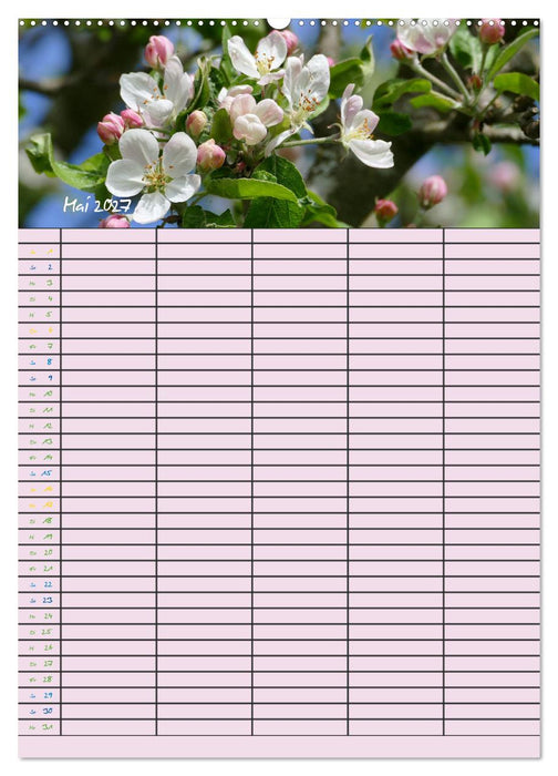 Kleine Naturschönheiten (CALVENDO Premium Wandkalender 2027)