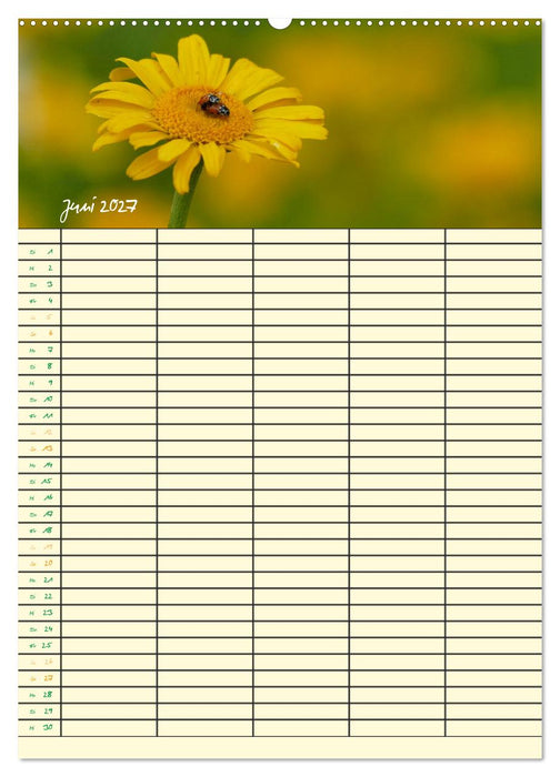Kleine Naturschönheiten (CALVENDO Premium Wandkalender 2027)