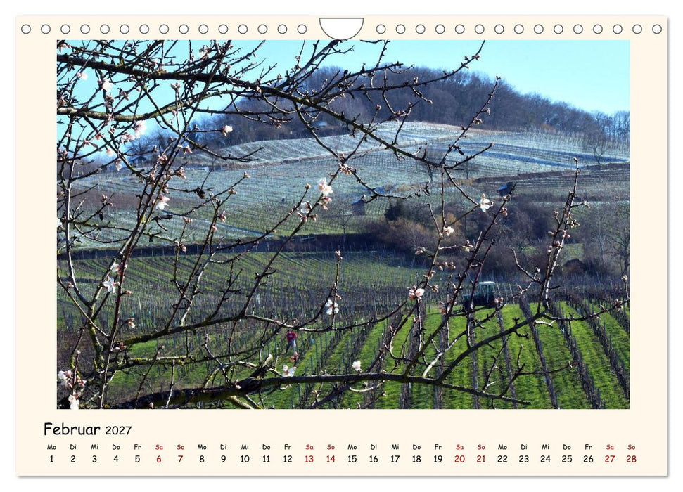 Weinlandschaft - Heppenheim an der Bergstraße (CALVENDO Wandkalender 2027)