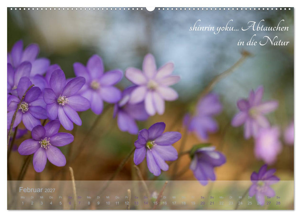 Shinrin yoku - Waldbaden 2027 (CALVENDO Wandkalender 2027)