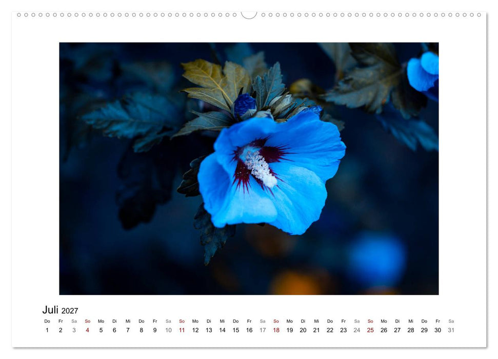 Blauer Blütentraum (CALVENDO Premium Wandkalender 2027)