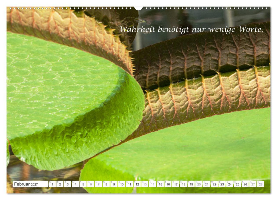 Stille. Japanische Gartenkunst und Weisheiten (CALVENDO Premium Wandkalender 2027)