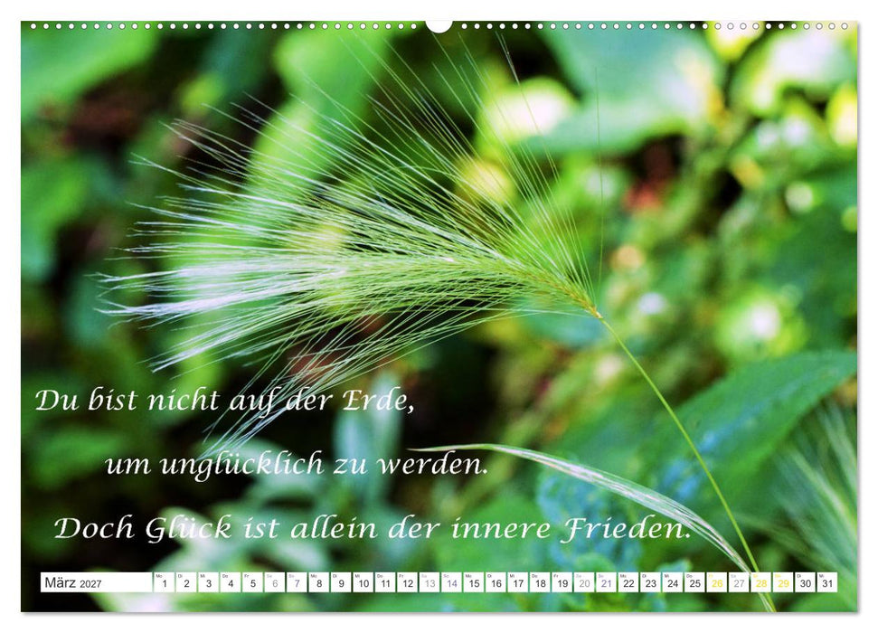 Stille. Japanische Gartenkunst und Weisheiten (CALVENDO Premium Wandkalender 2027)