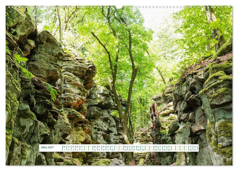 Eifel Natur - magisch schön (CALVENDO Wandkalender 2027)