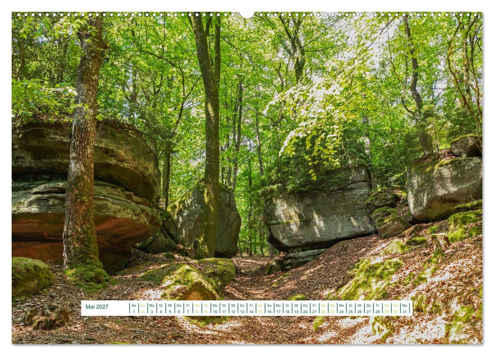 Eifel Natur - magisch schön (CALVENDO Wandkalender 2027)