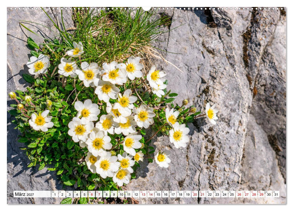 Der Rauschberg (CALVENDO Premium Wandkalender 2027)
