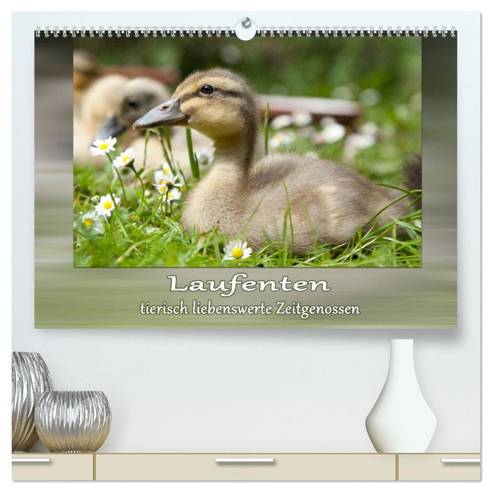 Laufenten - tierisch liebenswerte Zeitgenossen (CALVENDO Premium Wandkalender 2027)