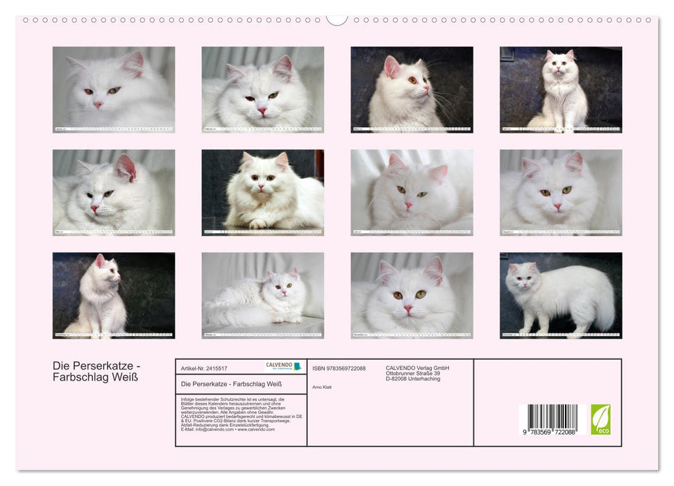 Die Perserkatze - Farbschlag Weiß (CALVENDO Premium Wandkalender 2027)