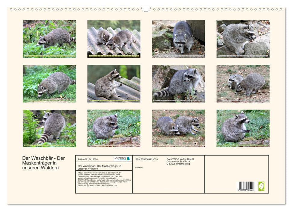 Der Waschbär - Der Maskenträger in unseren Wäldern (CALVENDO Wandkalender 2027)