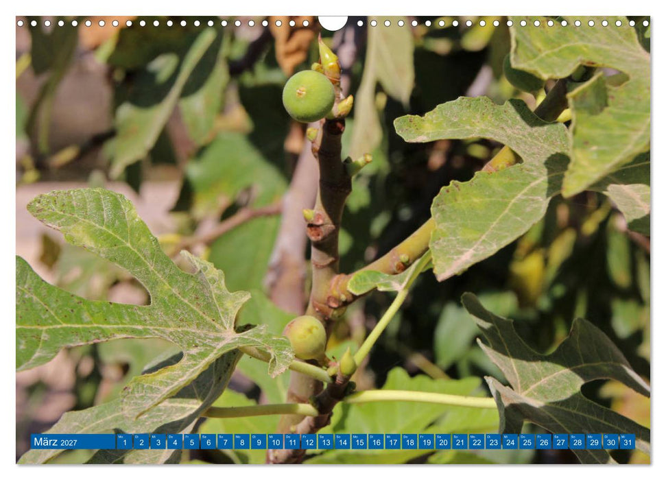 See Genezareth und Jordan-Fluss. Orte der Bibel (CALVENDO Wandkalender 2027)