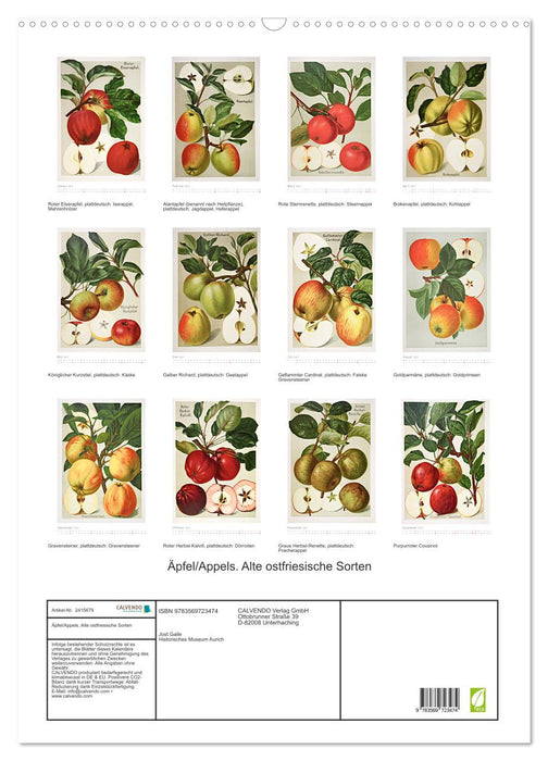 Äpfel/Appels. Alte ostfriesische Sorten (CALVENDO Wandkalender 2027)