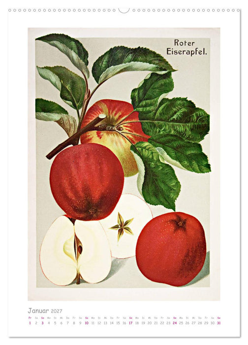 Äpfel/Appels. Alte ostfriesische Sorten (CALVENDO Wandkalender 2027)