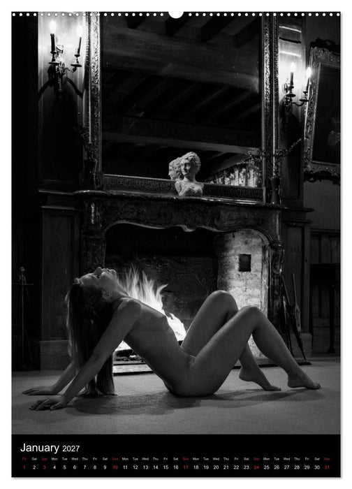 Ladies in the castle (CALVENDO Premium-Calendar 2027)