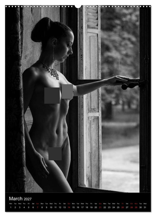 Ladies in the castle (CALVENDO Premium-Calendar 2027)