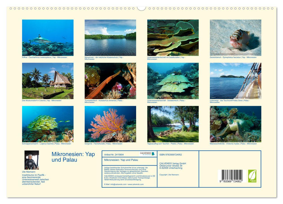 Mikronesien: Yap und Palau (CALVENDO Premium Wandkalender 2027)