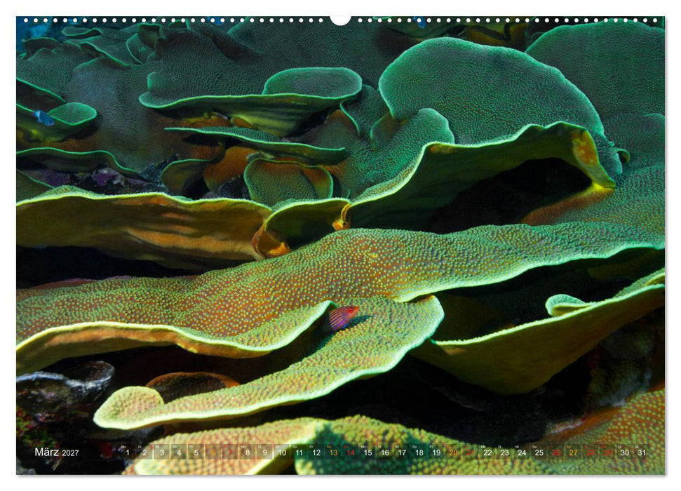 Mikronesien: Yap und Palau (CALVENDO Premium Wandkalender 2027)