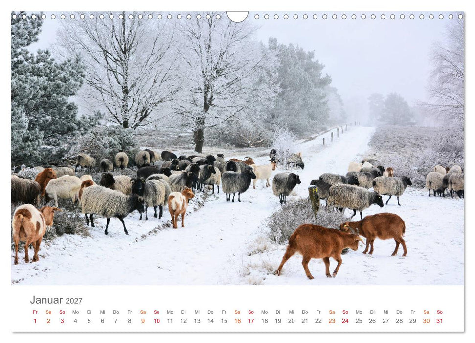 Unterwegs im Heidekreis (CALVENDO Wandkalender 2027)