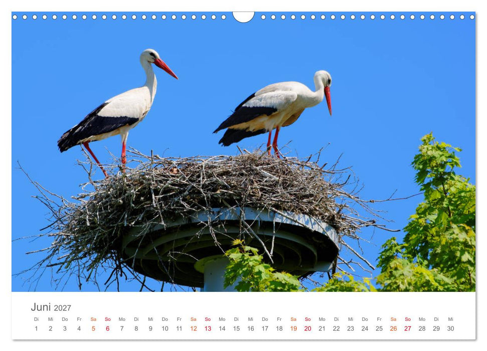 Unterwegs im Heidekreis (CALVENDO Wandkalender 2027)