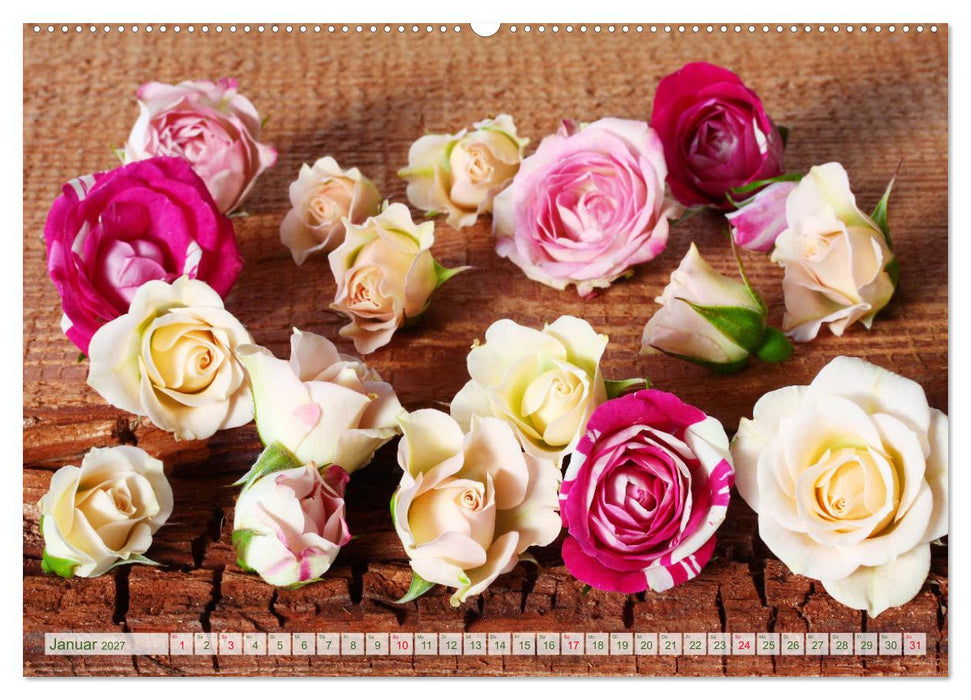 So viele schöne Rosen (CALVENDO Premium Wandkalender 2027)