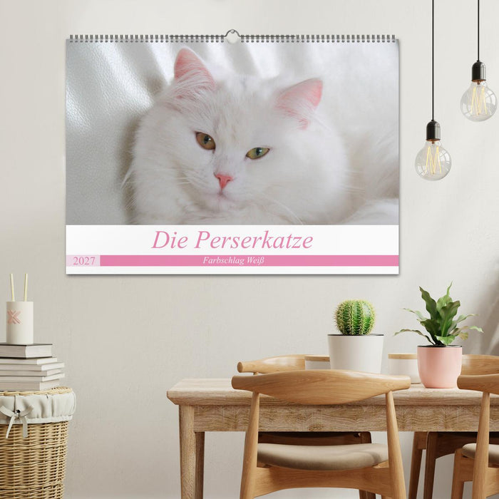 Die Perserkatze - Farbschlag Weiß (CALVENDO Wandkalender 2027)