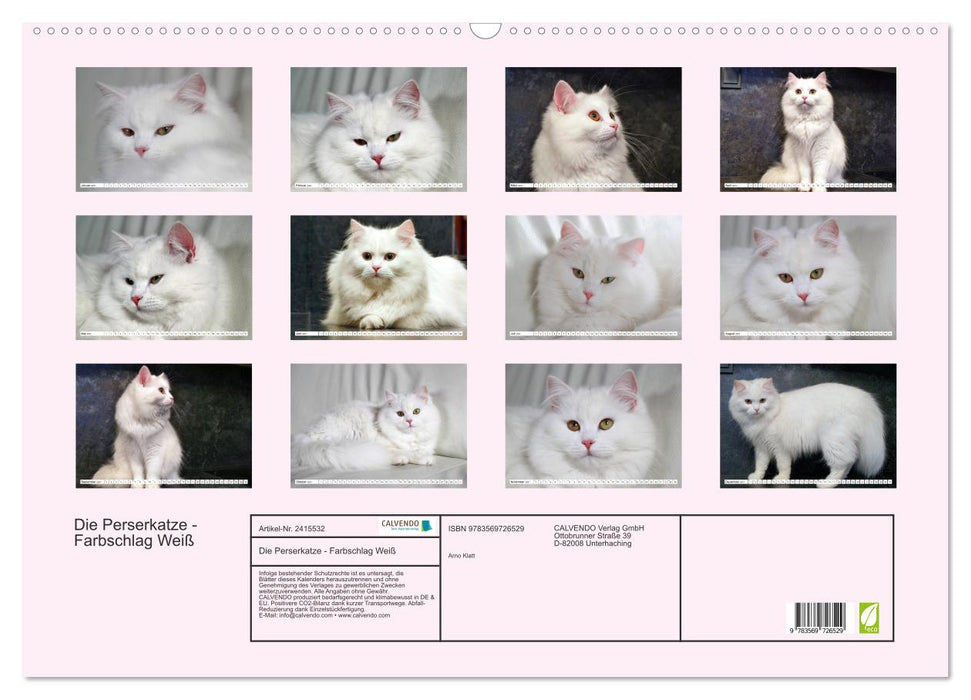 Die Perserkatze - Farbschlag Weiß (CALVENDO Wandkalender 2027)