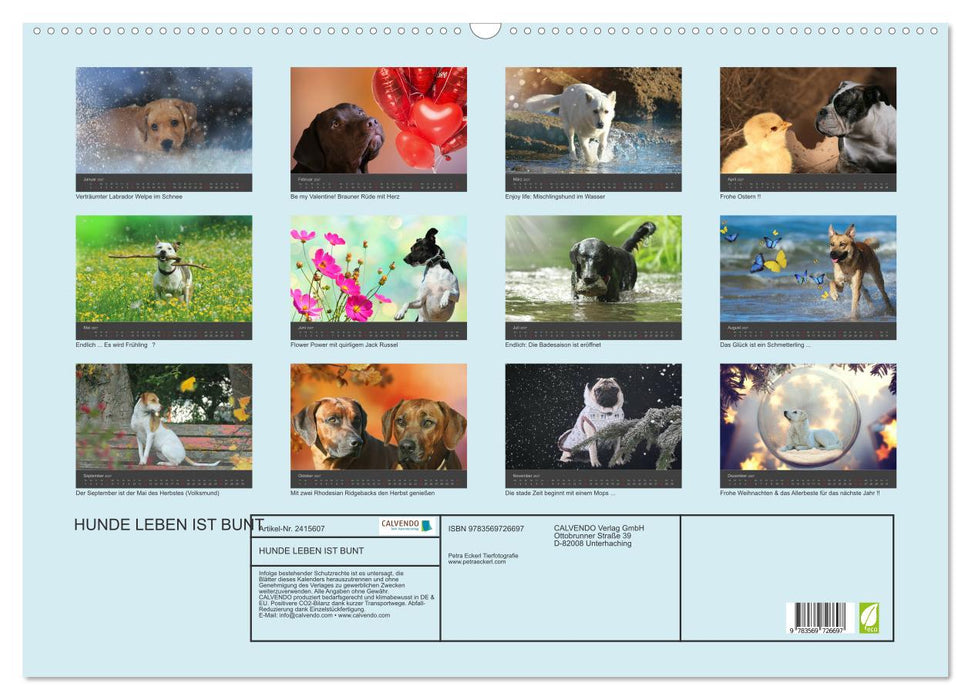 HUNDE LEBEN IST BUNT (CALVENDO Wandkalender 2027)