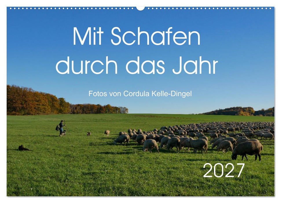 Mit Schafen durch das Jahr (CALVENDO Wandkalender 2027)