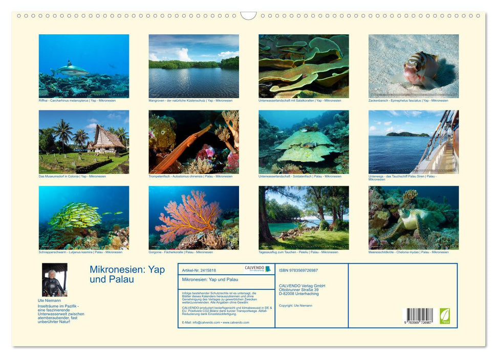 Mikronesien: Yap und Palau (CALVENDO Wandkalender 2027)