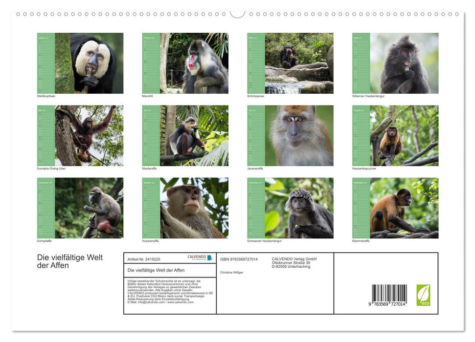 Die vielfältige Welt der Affen (CALVENDO Premium Wandkalender 2027)
