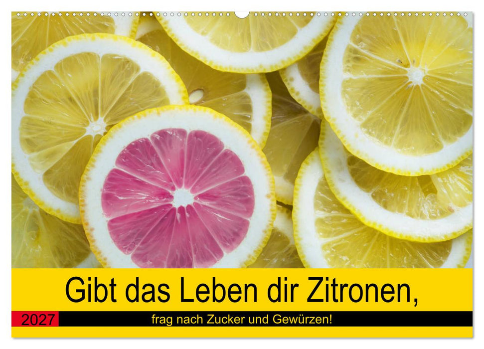 Gibt das Leben dir Zitronen, frag nach Zucker und Gewürzen! (CALVENDO Wandkalender 2027)