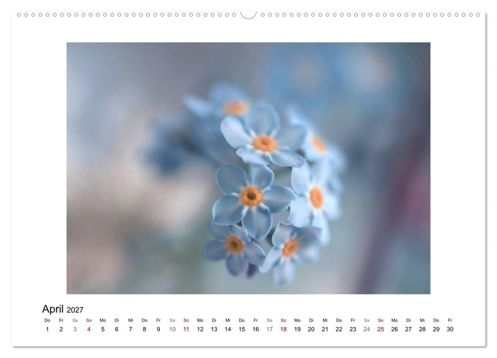 Blauer Blütentraum (CALVENDO Wandkalender 2027)