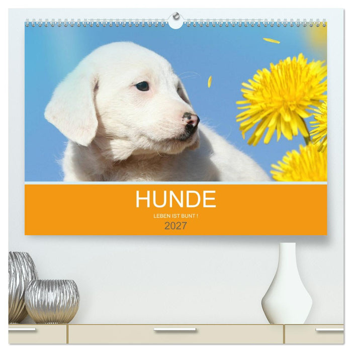 HUNDE LEBEN IST BUNT (CALVENDO Premium Wandkalender 2027)