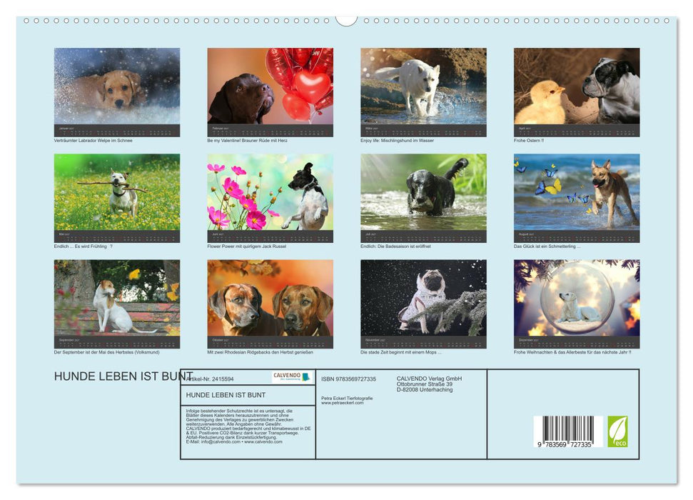 HUNDE LEBEN IST BUNT (CALVENDO Premium Wandkalender 2027)