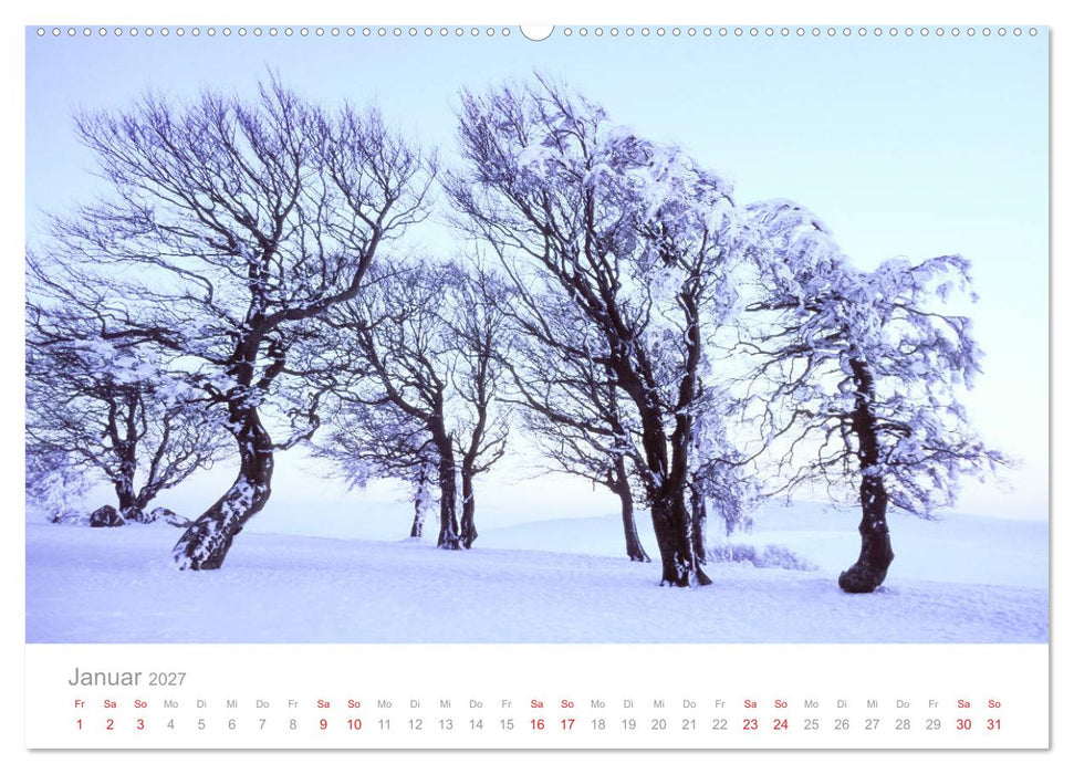 Der Schwarzwald Impressionen (CALVENDO Wandkalender 2027)