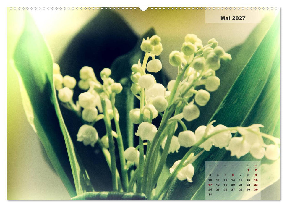 Blüten im Retro-Style (CALVENDO Wandkalender 2027)