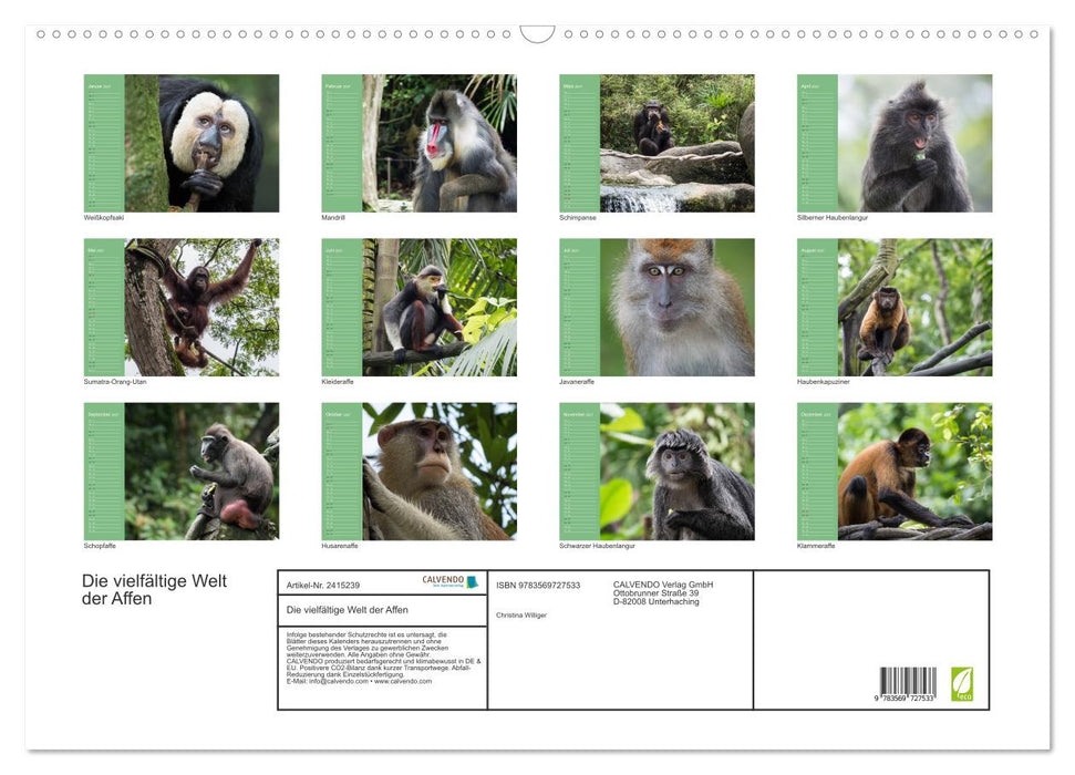 Die vielfältige Welt der Affen (CALVENDO Wandkalender 2027)