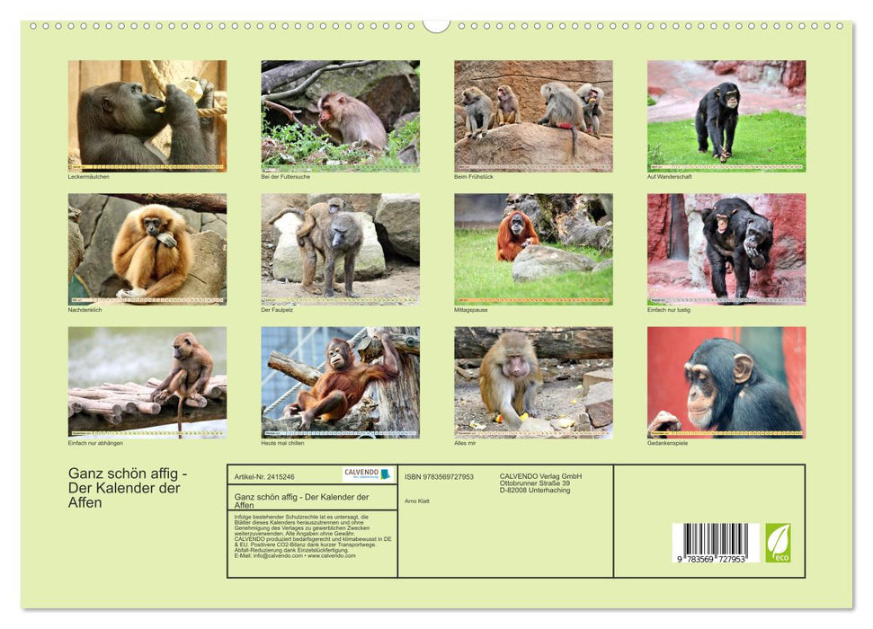 Ganz schön affig - Der Kalender der Affen (CALVENDO Premium Wandkalender 2027)