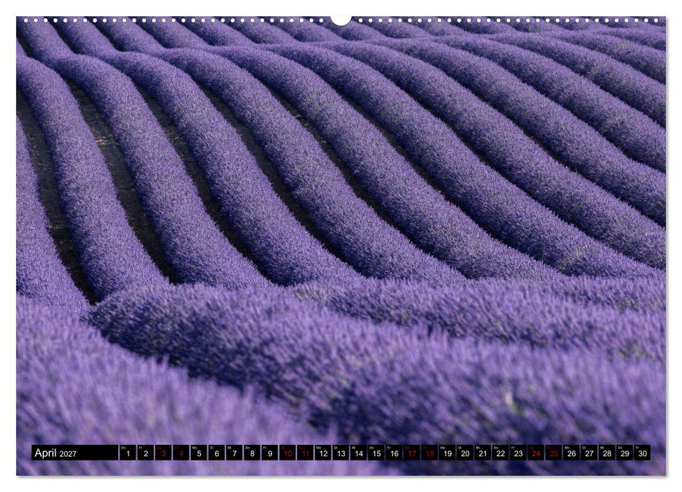 Provence im Rausch der Farben (CALVENDO Wandkalender 2027)