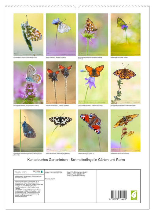 Kunterbuntes Gartenleben - Schmetterlinge in Gärten und Parks (CALVENDO Premium Wandkalender 2027)