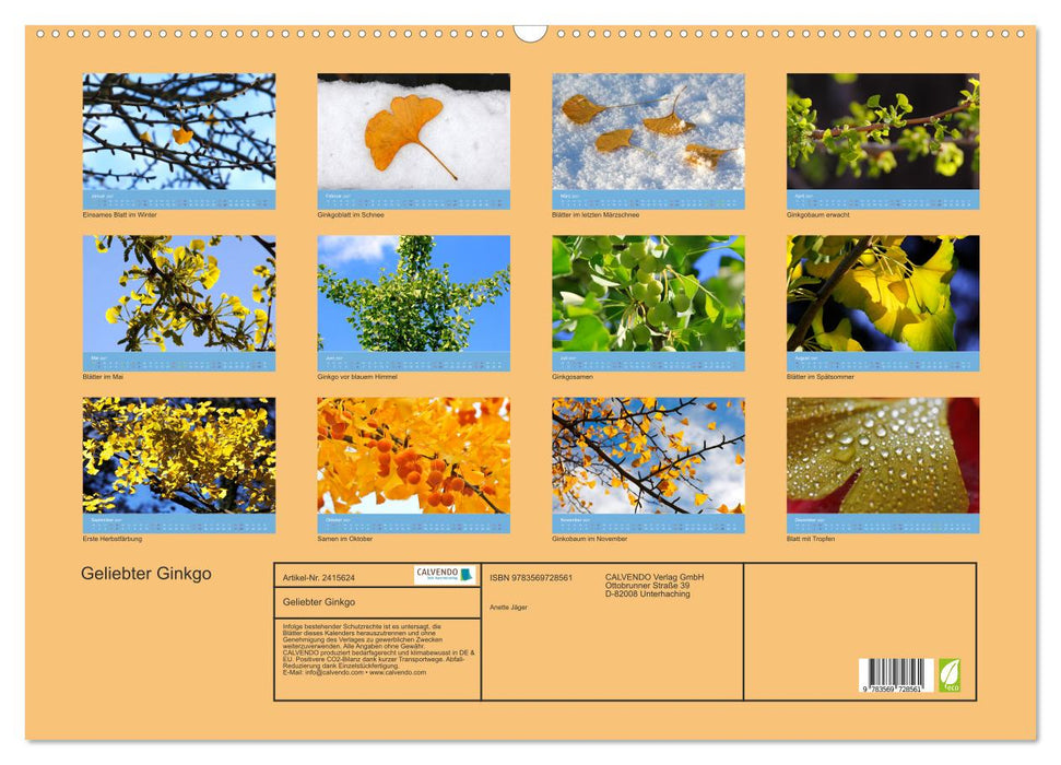 Geliebter Ginkgo (CALVENDO Wandkalender 2027)