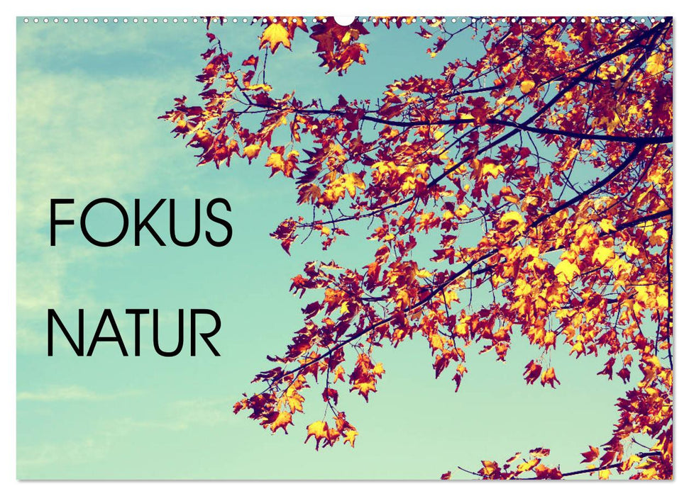 Focus Natur (CALVENDO Wandkalender 2027)