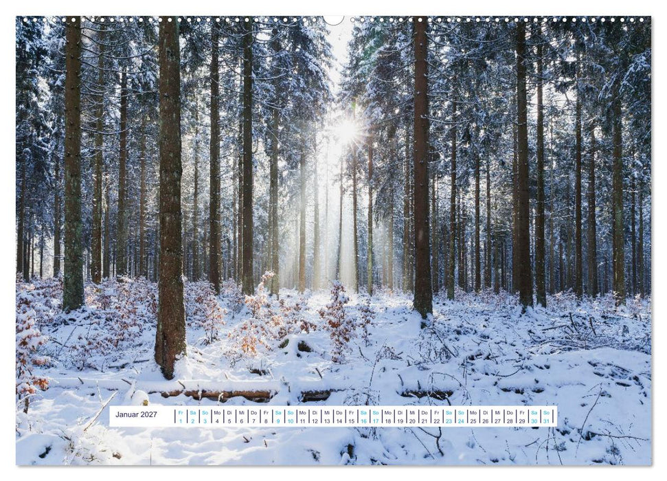 Eifel Natur - magisch schön (CALVENDO Premium Wandkalender 2027)