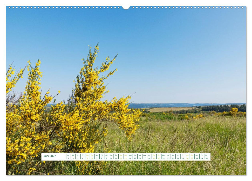 Eifel Natur - magisch schön (CALVENDO Premium Wandkalender 2027)