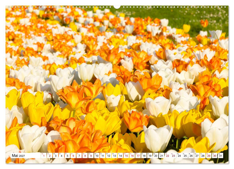 Fürstenfeldbruck - Streifzug durch Natur und Stadt (CALVENDO Wandkalender 2027)