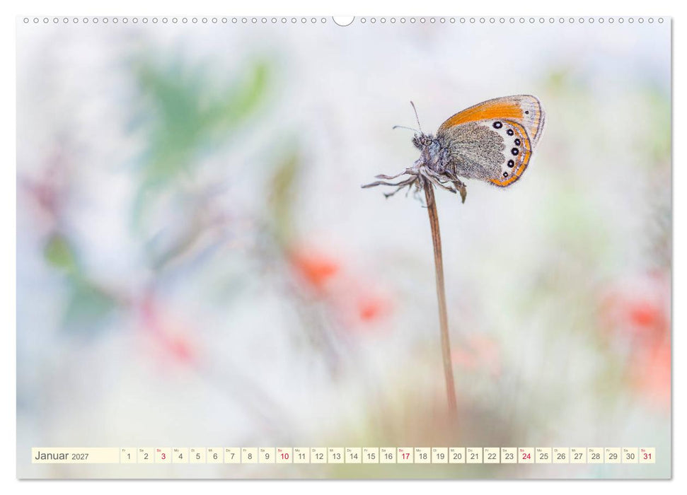 Schmetterlinge in zauberhaften Blumenwiesen (CALVENDO Wandkalender 2027)