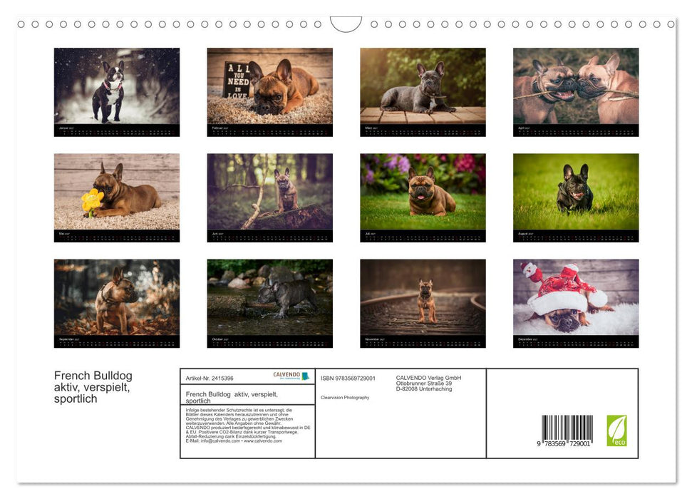 French Bulldog aktiv, verspielt, sportlich (CALVENDO Wandkalender 2027)