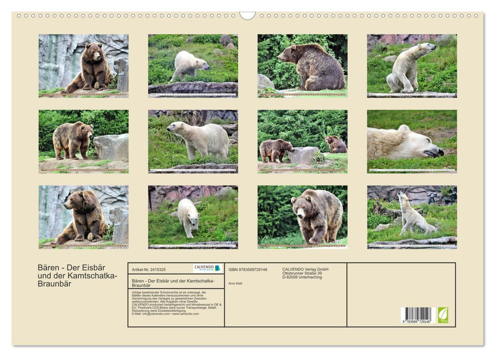 Bären - Der Eisbär und der Kamtschatka-Braunbär (CALVENDO Wandkalender 2027)
